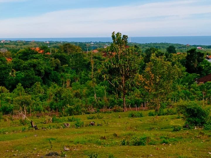 tanah view pantai melasti