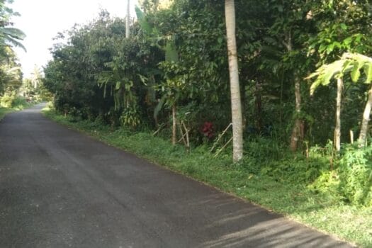 tanah kebun di pelaga