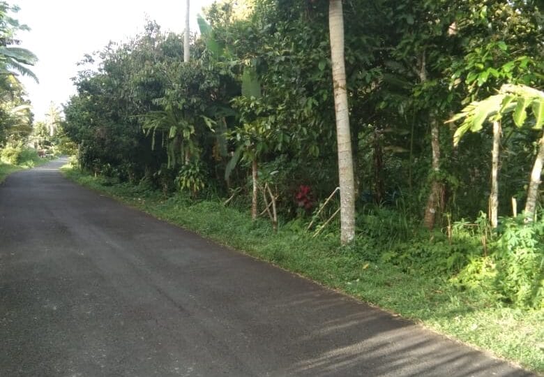 tanah kebun di pelaga