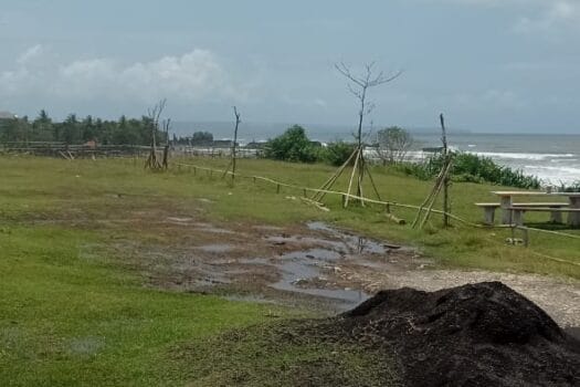 tanah los pantai nyanyi