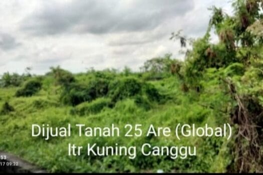 tanah padonan canggu