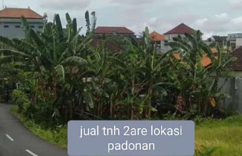 Dijual tanah luasan kecil di padonan