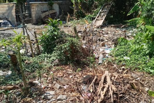 Dijual tanah lokasi di central dalung